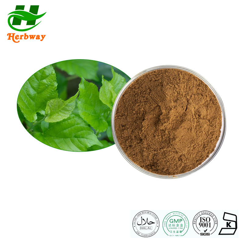 Mulberry Leaves powder