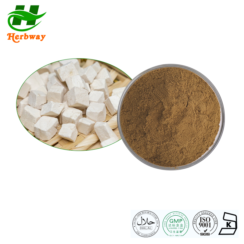 Poria Cocost Powder