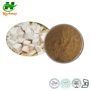 Poria Cocost Powder