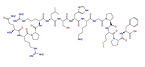 Apelin (1-13) (human)