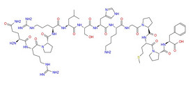 Apelin (1-13) (human)