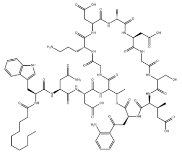 Daptomycin