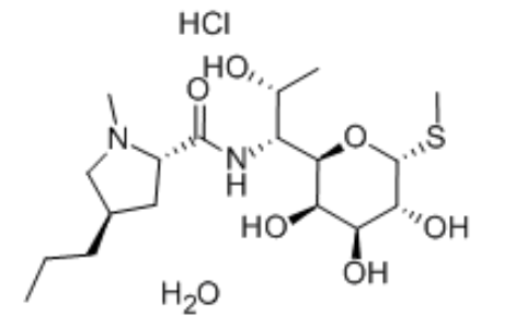 Lincomycin Hydrochloride