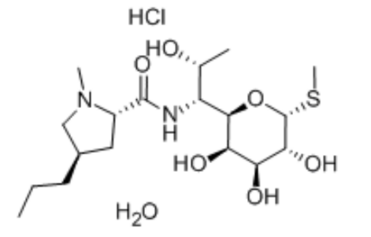 Lincomycin Hydrochloride