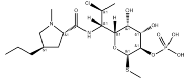 Clindamycin Phosphate