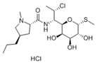 Clindamycin Hydrochloride