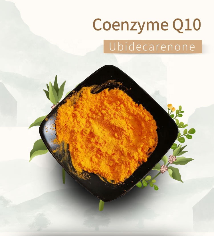 Coenzyme Q10 ; CoQ10