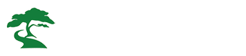 Mopiravir