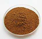 Ferrous Bisglycinate