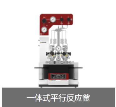 Integrated Parallel Reactor