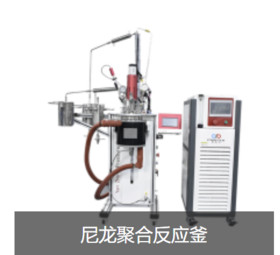 Nylon Polymerization Reactor