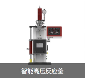 Intelligent High Pressure Reactor