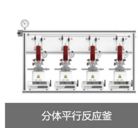 Split Parallel Reactor