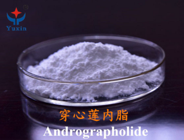 Andrographolide