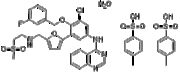 Lapatinib