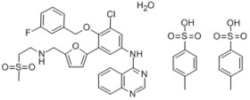 Lapatinib