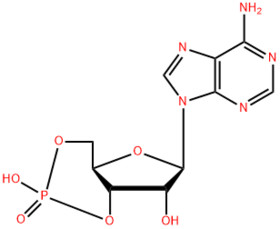 Adenosine Cyclophosphate