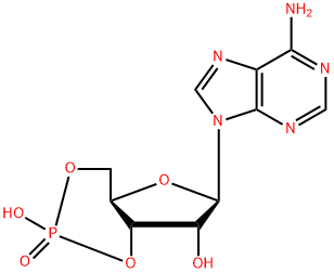 Adenosine Cyclophosphate