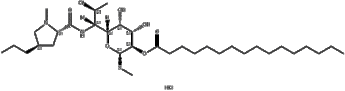 Clindamycin Palmitate HCl