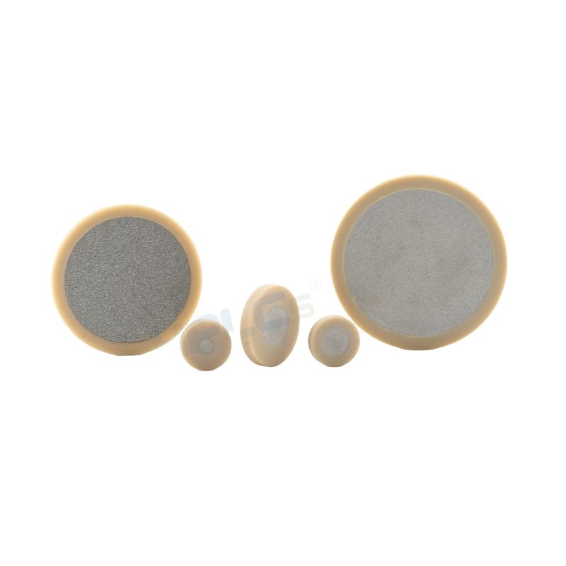 Peek Frit Filter for HPLC Inline Filter