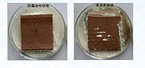 Moldproof packaging corrugated box