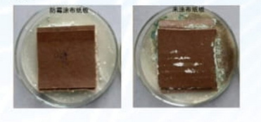Moldproof packaging corrugated box
