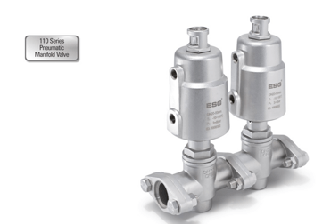 110 Series Pneumatic Manifold Valve