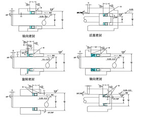 High Performance Spring Accumulator Seals