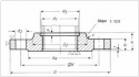 DIN2569 Threaded Flange With Neck PN100