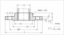 DIN2567 Threaded Flange With Neck PN25 and PN40