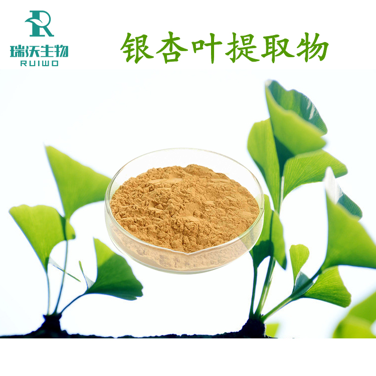 Ginkgo Biloba Extract