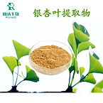 Ginkgo Biloba Extract