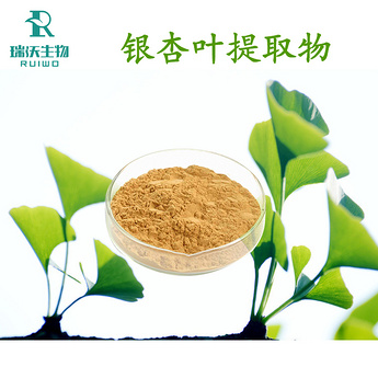 Ginkgo Biloba Extract