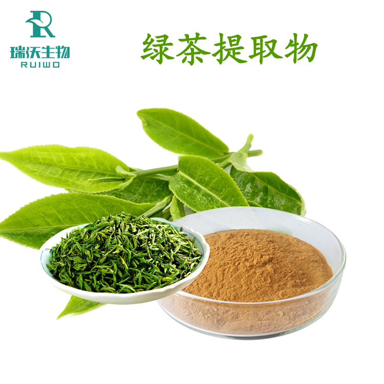 Green Tea Extract