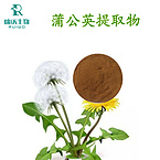 Dandelion Extract