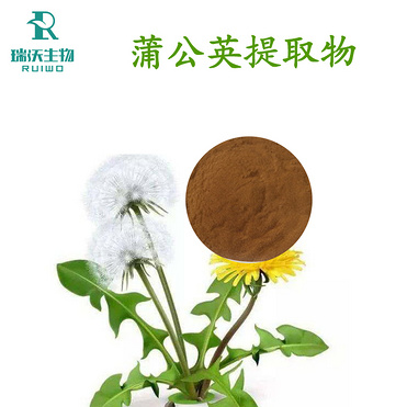 Dandelion Extract