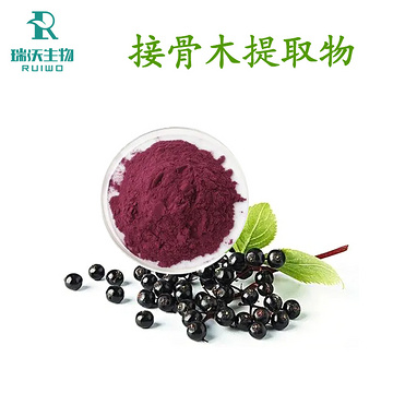 Elderberry extract anthocyanins OPC