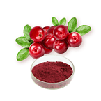 Cranberry Extract