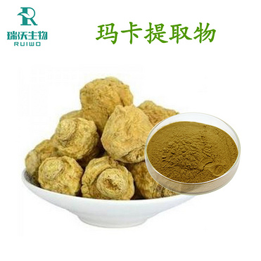 Maca Extract