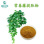 CIvy leaf Extract