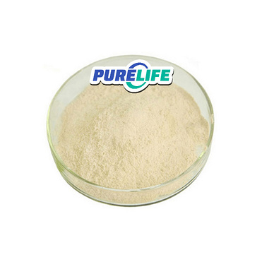 Manufacturers Supplement 99% Urolithin A Powder