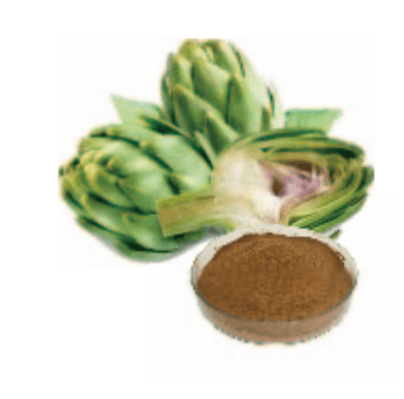 Artichoke Extract