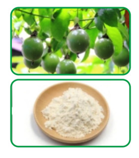 Monk Fruit Extract