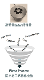 Process R&D service for Continuous Hydrogenation