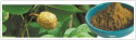 Horse Chestnut Extract