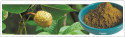 Horse Chestnut Extract