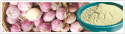 Garlic Extract
