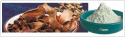 Magnolia Bark Extract