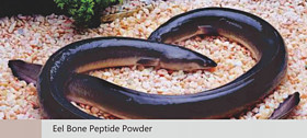 Eel Bone Peptide Powder