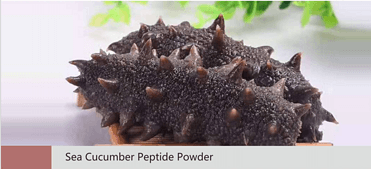 Sea Cucumber Peptide Powder